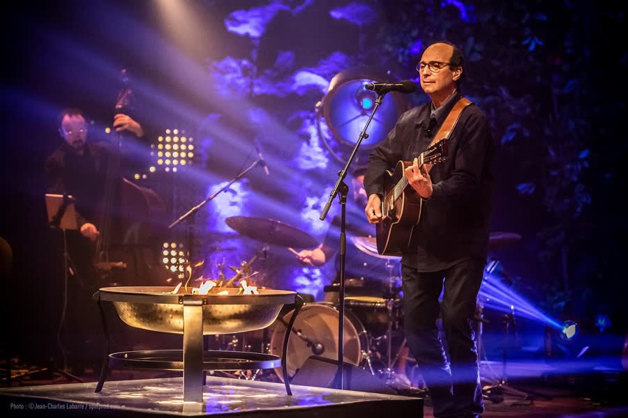 Guitariste éclairé de bleu et de violet